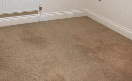 Commercial-Clean-Of-Tennacy-Apartment-Carpet---After-Image