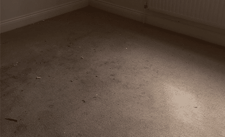 Commercial-Clean-Of-Tennacy-Apartment-Carpet---Before-Image